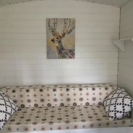 Tamminiemen Lomamoekit * Кустави