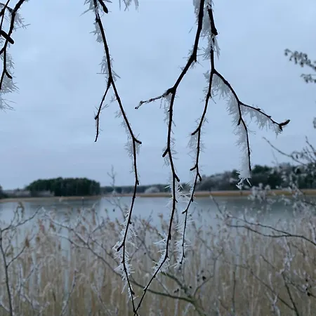 Tamminiemen Lomamoekit * Кустави