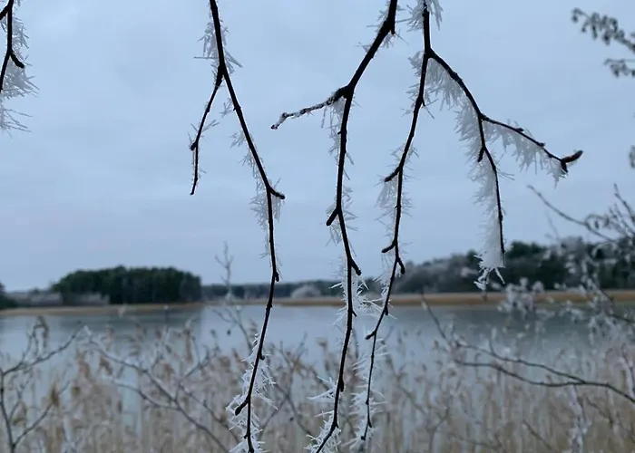 Tamminiemen Lomamoekit * Kustavi