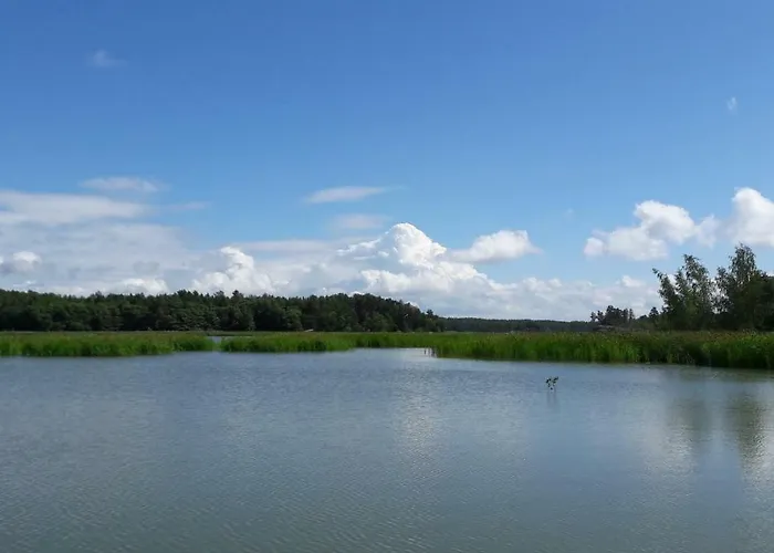 Tamminiemen Lomamoekit Chalet Kustavi